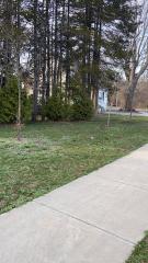 Future sitting area of the garden