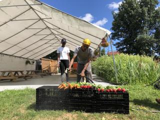 Garden Apprentices washing Farmstand produce