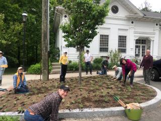 2019 Native Planting