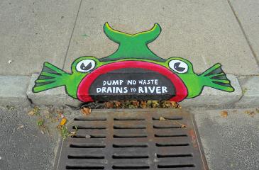 Lots of Fish's  50 years of Earth Day - Fifty Fish Storm Drain Art project