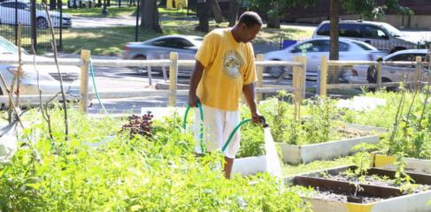 Community member in the garden