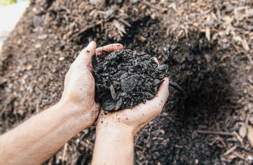 Healthy Soil Amendment in hand