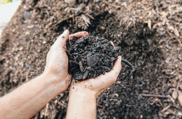 Healthy Soil Amendment in hand