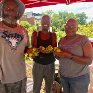 Phoenix Community Gardeners display fresh tomatoes.