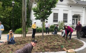 2019 Native Planting