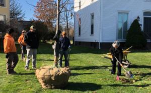 Linden tree planting on High St. by Welsleyan in honor of Krishna Winston