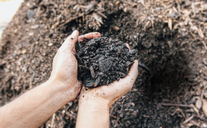 Healthy Soil Amendment in hand