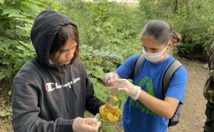 Youth water sampling and testing water quality.